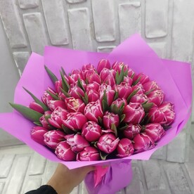 Тюльпан пионовидная