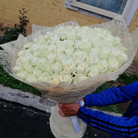 101 белая роза