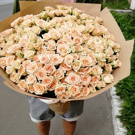 Кустовая роза