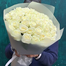 Роза белая 51