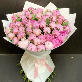 Пионы розовые 51