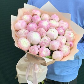 Пионы розовые 25