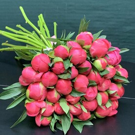 Пионы коралловые 35