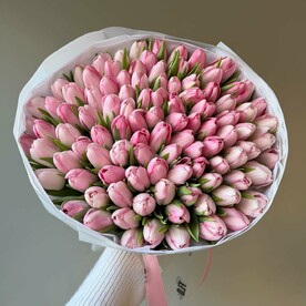 Тюльпаны 🌷 101