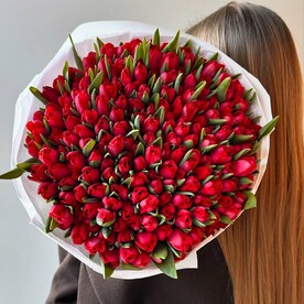 Тюльпаны 🌷 151 шт