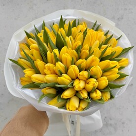 Желтый 💛 тюльпаны