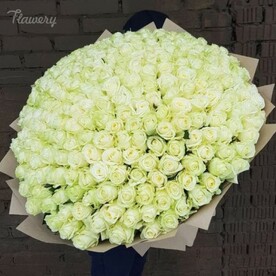 Букет из 301 белых роз.