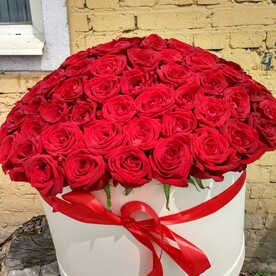 Роза, Флористическая губка, Шляпная коробка