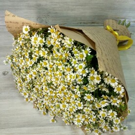 Камилла