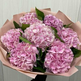 Букет из 7 розовых гортензий