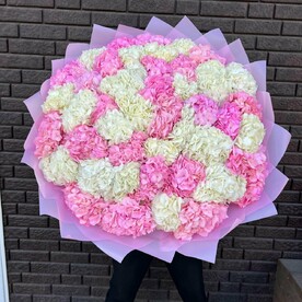 🌸 Букет из 45 гортензий микс цвета (белый и розовый) — воплощение нежности и элегантности! 🌸