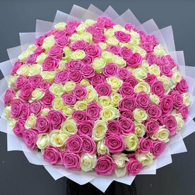 🌸 151 Роза: Идеальное Сочетание Белого и Розового для Вашей Любви! 🌸