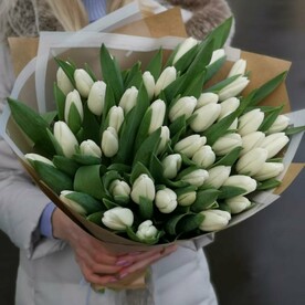 51 белого тюльпана🌷 Букет "Белая симфония"