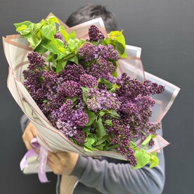 Весенний шик — 15 веточек сирени 💐💜🌸