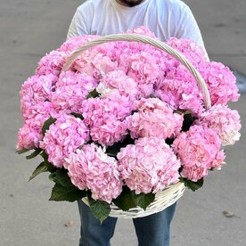 21 гортензий в корзине