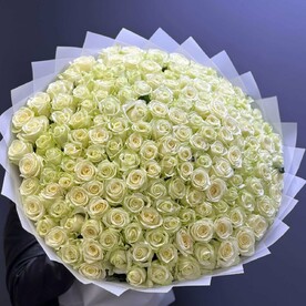 Букет из 151 белых роз