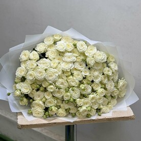 Роза пионовидная кустовая шт, Дизайнерская упаковка шт, шт