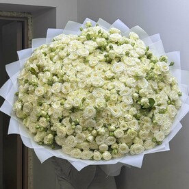 Роза кустовая шт, Дизайнерская упаковка шт, шт