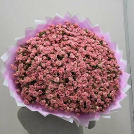 Букет из 151 кустовых роз