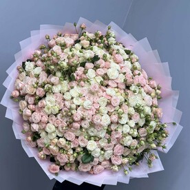 Роза пионовидная кустовая шт, Дизайнерская упаковка шт