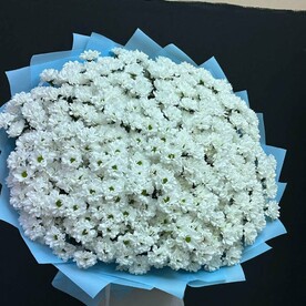Хризантема кустовая, Дизайнерская упаковка