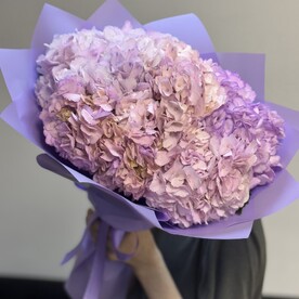 Букет из 5 шт гортензии супер подарок 🎁