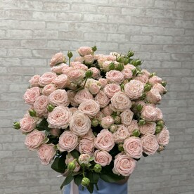 Букет из 19 пионовидных роз