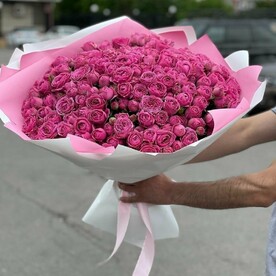 Роза мисти бабблс, Оформление, Открытка