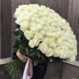 Роза Эквадор, Открытка