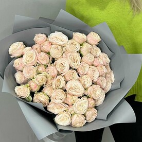 Роза пионовидная кустовая, Оформление, Открытка