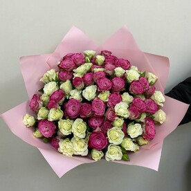 Роза пионовидная кустовая Мисти Баблс, Роза пионовидная кустовая, Упаковка, Открытка