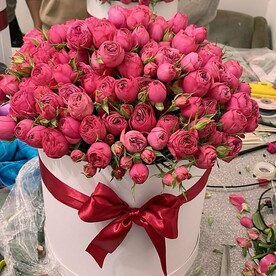 Роза пионовидная кустовая Мисти Баблс, Оазис, Пленка, Коробка, Открытка