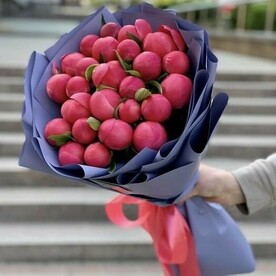 Пион коралло, Оформление, Открытка