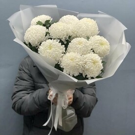 Хризантема одноголовая шт, Пленка матовая шт, шт