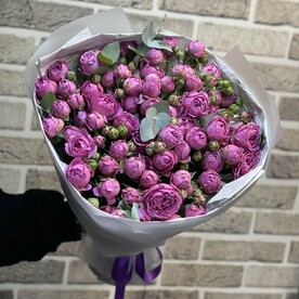 Роза пионовидная кустовая Мисти Баблс, Эвкалипт, Упаковка