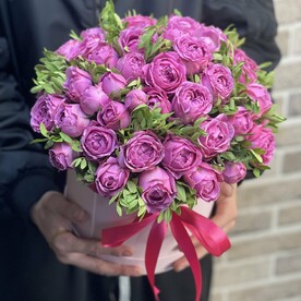 Мисти бабблс