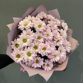 Хризантема кустовая, Дизайнерская упаковка, Открытка