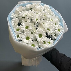 Хризантема кустовая, Оформление, Открытка