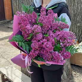 Сирень, Папоротник, Рускус, Оформление, Открытка