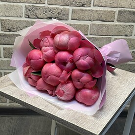 Пион корал шарм, Оформление, Открытка