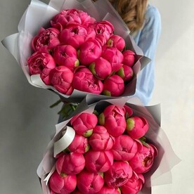 Пион коралло, Дизайнерская упаковка, Открытка