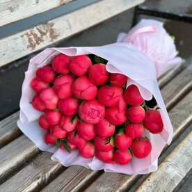 Пион коралло, Дизайнерская упаковка, Открытка