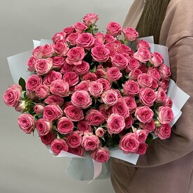 Роза кустовая, Пленка матовая