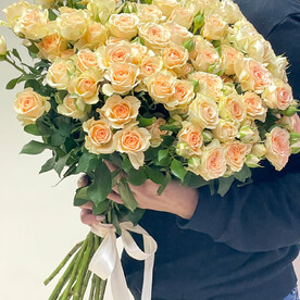 Роза кустовая