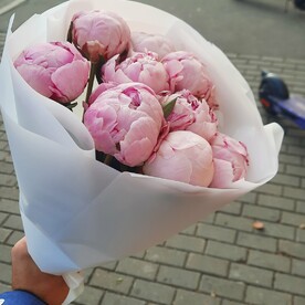 Пион сара бернард, Авторская упаковка