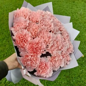 Гвоздика одноголовая, Авторская упаковка