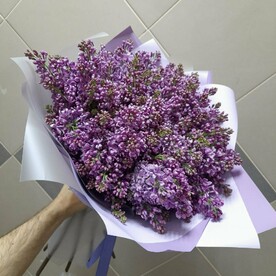 Букет сирени