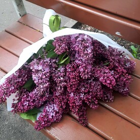 Букет сирени 11