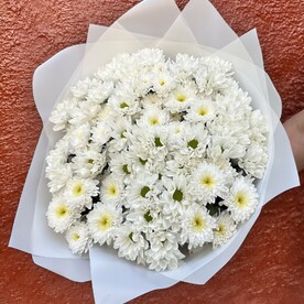 Хризантема одноголовая, Авторская упаковка