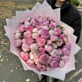 Букет из 45 пионов Сара Бернар